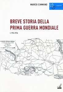Breve storia della prima guerra mondiale. 1914-1916 (Vol. 1)