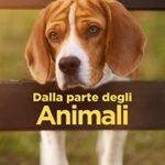 Dalla parte degli animali