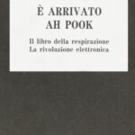 E' arrivato Ah Pook
