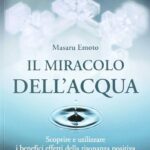 Il miracolo dell'acqua. Scoprire e utilizzare i benefici effetti della risonanza positiva