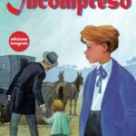 Incompreso: Edizione integrale