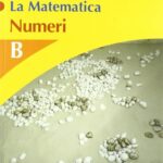 La matematica. Volume B. Numeri. Per la Scuola media