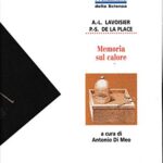 MEMORIA SUL CALORE 1995