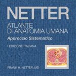 Netter. Atlante di anatomia umana sistematica